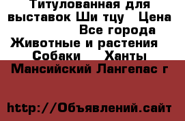 Титулованная для выставок Ши-тцу › Цена ­ 100 000 - Все города Животные и растения » Собаки   . Ханты-Мансийский,Лангепас г.